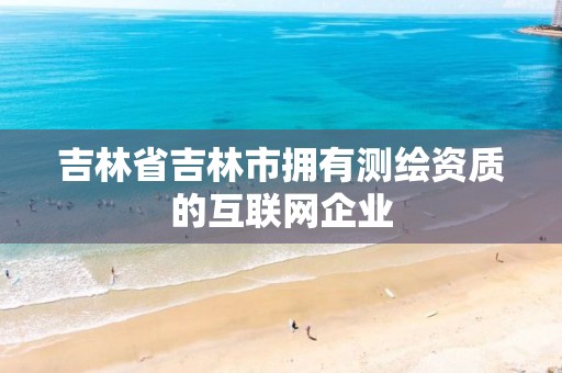 吉林省吉林市拥有测绘资质的互联网企业