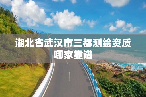 湖北省武汉市三都测绘资质哪家靠谱