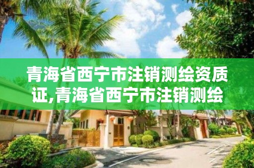 青海省西宁市注销测绘资质证,青海省西宁市注销测绘资质证书在哪办