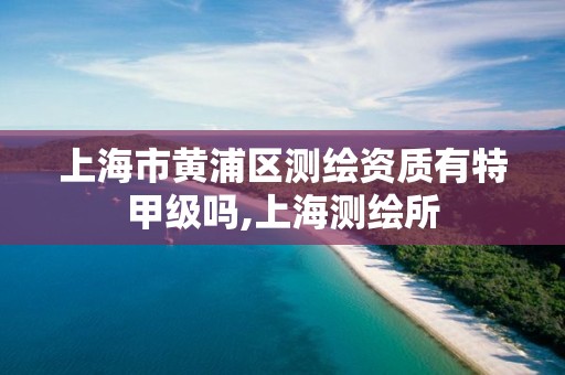 上海市黄浦区测绘资质有特甲级吗,上海测绘所 上海市黄浦区测绘资质有特甲级吗,上海测绘所