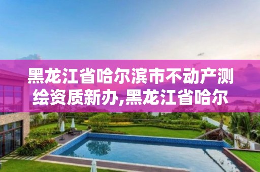 黑龙江省哈尔滨市不动产测绘资质新办,黑龙江省哈尔滨市测绘局