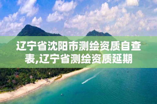 辽宁省沈阳市测绘资质自查表,辽宁省测绘资质延期