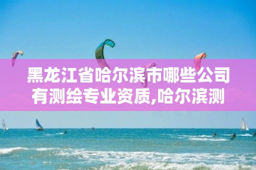 黑龙江省哈尔滨市哪些公司有测绘专业资质,哈尔滨测绘勘察研究院怎么样