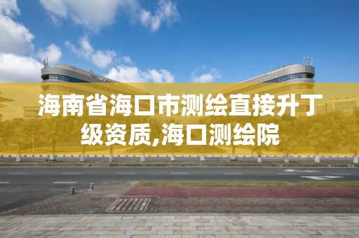 海南省海口市测绘直接升丁级资质,海口测绘院