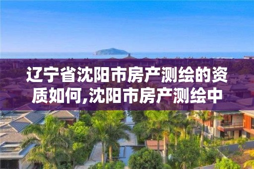 辽宁省沈阳市房产测绘的资质如何,沈阳市房产测绘中心官网