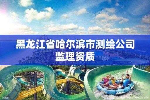 黑龙江省哈尔滨市测绘公司监理资质