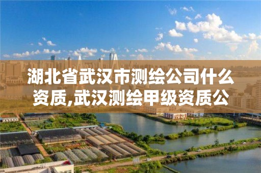 湖北省武汉市测绘公司什么资质,武汉测绘甲级资质公司