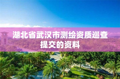 湖北省武汉市测绘资质巡查提交的资料