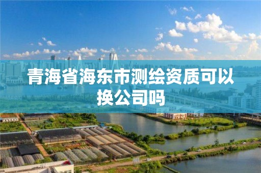 青海省海东市测绘资质可以换公司吗