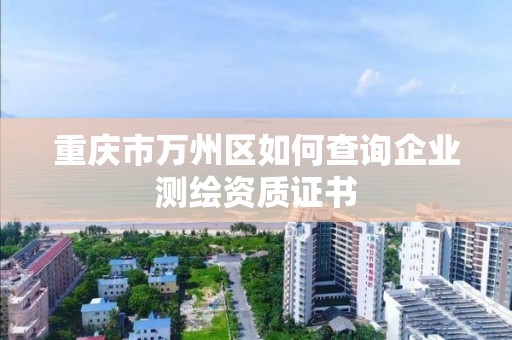 重庆市万州区如何查询企业测绘资质证书