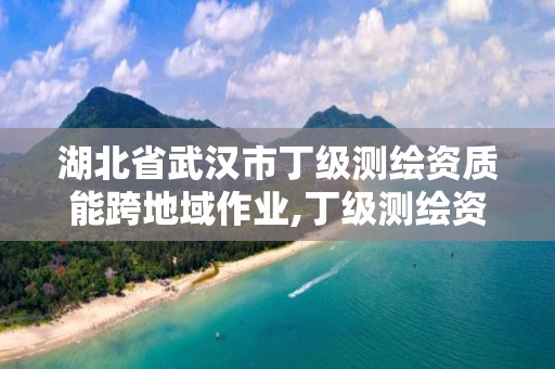 湖北省武汉市丁级测绘资质能跨地域作业,丁级测绘资质人员要求。