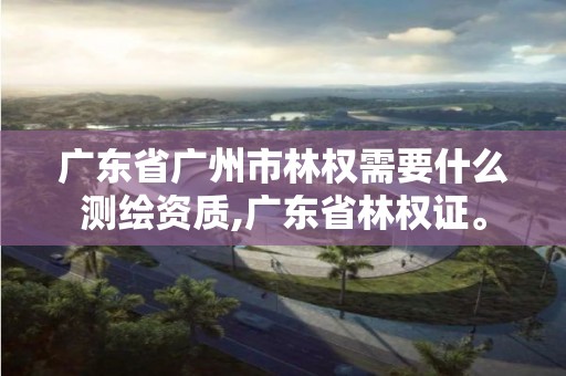 广东省广州市林权需要什么测绘资质,广东省林权证。