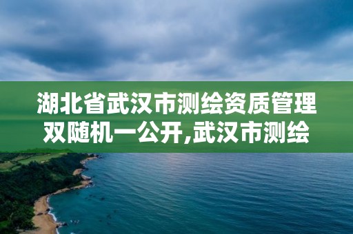 湖北省武汉市测绘资质管理双随机一公开,武汉市测绘院。