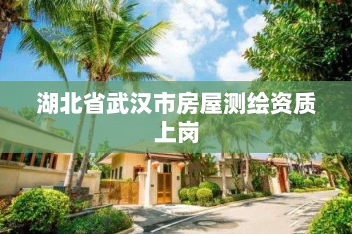 湖北省武汉市房屋测绘资质上岗