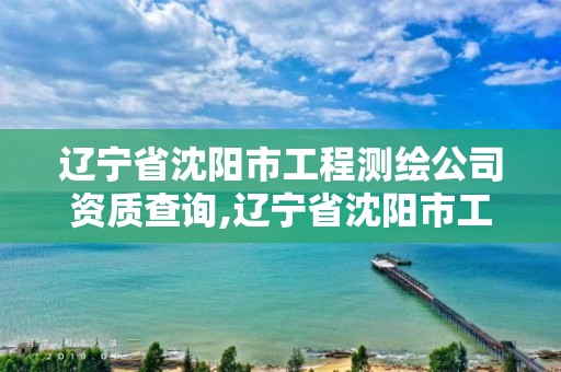 辽宁省沈阳市工程测绘公司资质查询,辽宁省沈阳市工程测绘公司资质查询网