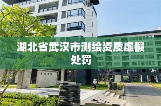 湖北省武汉市测绘资质虚假处罚