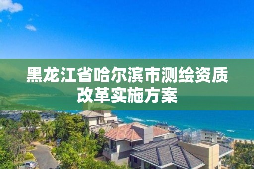 黑龙江省哈尔滨市测绘资质改革实施方案