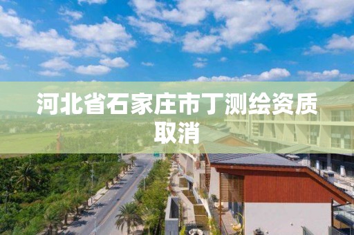 河北省石家庄市丁测绘资质取消