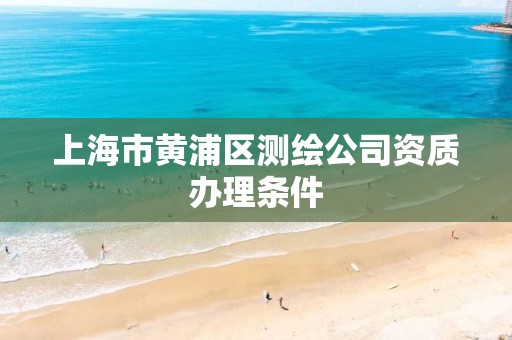 上海市黄浦区测绘公司资质办理条件