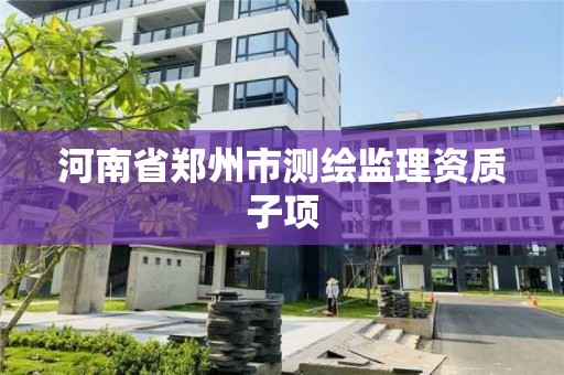 河南省郑州市测绘监理资质子项