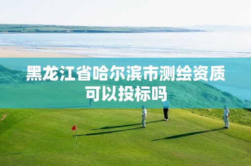 黑龙江省哈尔滨市测绘资质可以投标吗