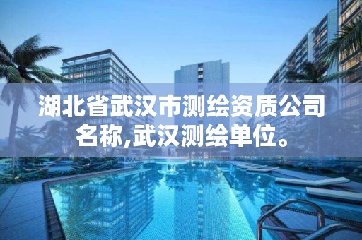 湖北省武汉市测绘资质公司名称,武汉测绘单位。