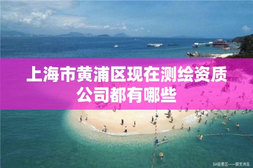 上海市黄浦区现在测绘资质公司都有哪些