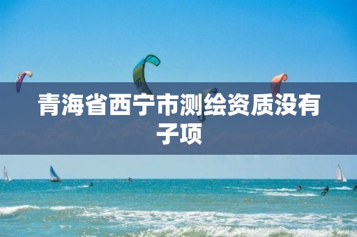 青海省西宁市测绘资质没有子项