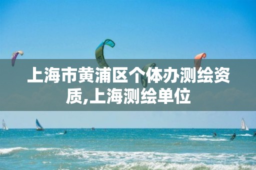 上海市黄浦区个体办测绘资质,上海测绘单位