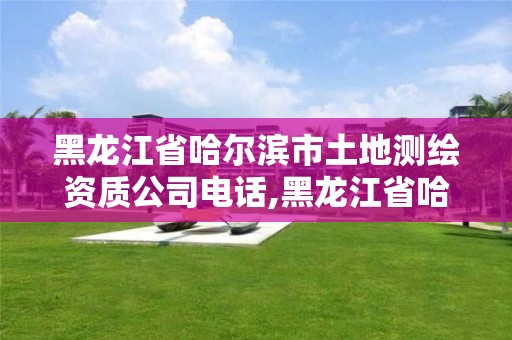 黑龙江省哈尔滨市土地测绘资质公司电话,黑龙江省哈尔滨市测绘局