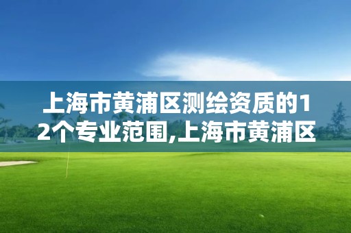 上海市黄浦区测绘资质的12个专业范围,上海市黄浦区测绘中心。