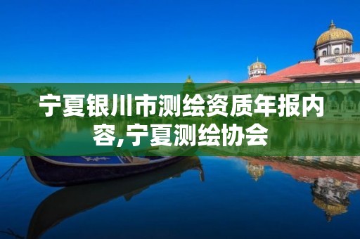 宁夏银川市测绘资质年报内容,宁夏测绘协会