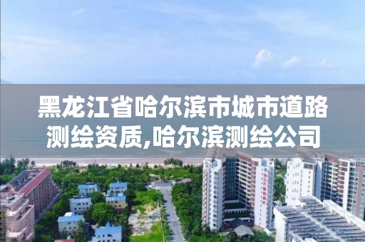 黑龙江省哈尔滨市城市道路测绘资质,哈尔滨测绘公司有哪些