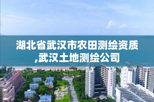 湖北省武汉市农田测绘资质,武汉土地测绘公司