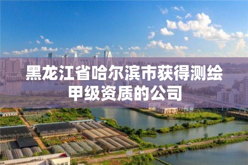 黑龙江省哈尔滨市获得测绘甲级资质的公司