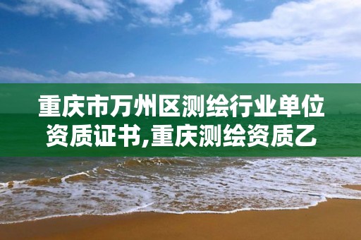 重庆市万州区测绘行业单位资质证书,重庆测绘资质乙级申报条件。