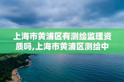 上海市黄浦区有测绘监理资质吗,上海市黄浦区测绘中心