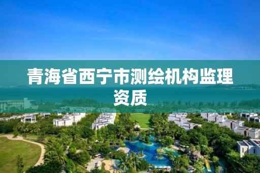 青海省西宁市测绘机构监理资质