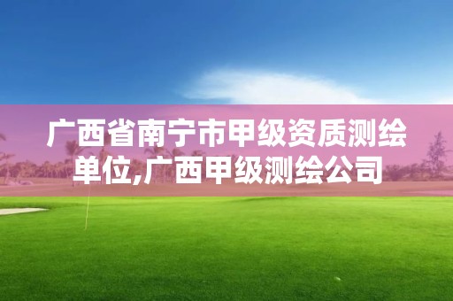 广西省南宁市甲级资质测绘单位,广西甲级测绘公司