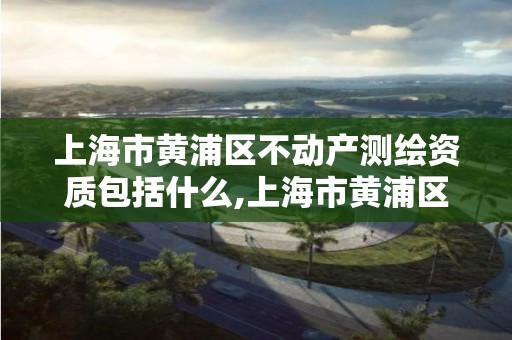 上海市黄浦区不动产测绘资质包括什么,上海市黄浦区不动产测绘资质包括什么项目。