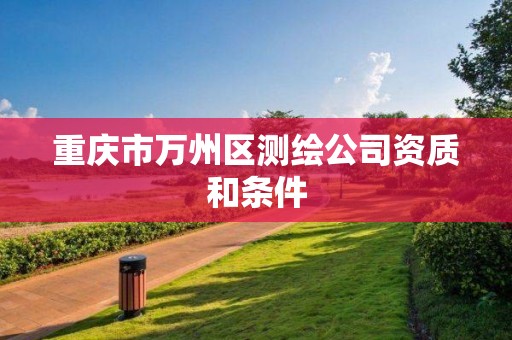 重庆市万州区测绘公司资质和条件