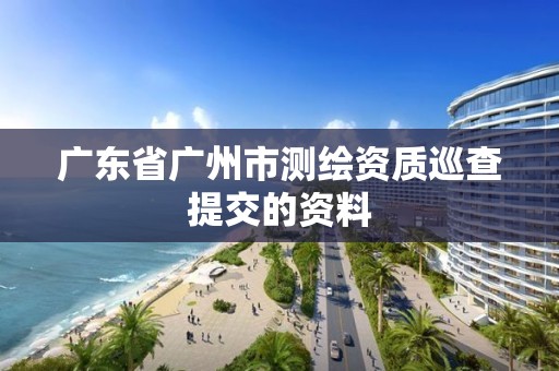 广东省广州市测绘资质巡查提交的资料