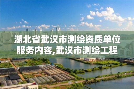 湖北省武汉市测绘资质单位服务内容,武汉市测绘工程技术规定