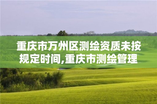 重庆市万州区测绘资质未按规定时间,重庆市测绘管理条例