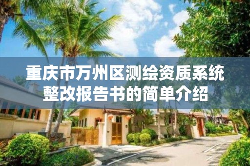 重庆市万州区测绘资质系统整改报告书的简单介绍