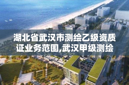 湖北省武汉市测绘乙级资质证业务范围,武汉甲级测绘资质名录。