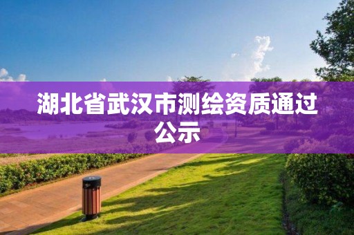 湖北省武汉市测绘资质通过公示