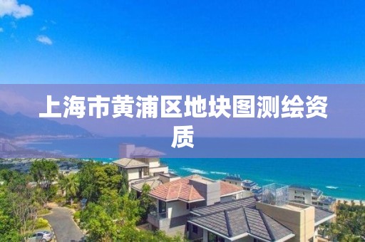 上海市黄浦区地块图测绘资质