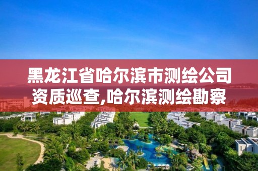 黑龙江省哈尔滨市测绘公司资质巡查,哈尔滨测绘勘察研究院怎么样