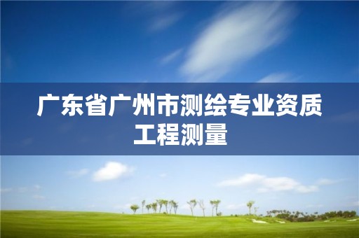 广东省广州市测绘专业资质工程测量